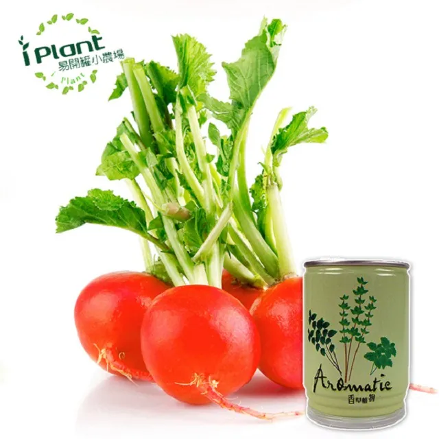 易開罐植栽 DIY蔬果盆栽 罐頭植栽 花卉 / 蔬果 / 香料 療癒植栽 【久大文具】 歷史價格詳細信息