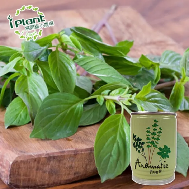 易開罐植栽 DIY蔬果盆栽 罐頭植栽 花卉 / 蔬果 / 香料 療癒植栽 【久大文具】 歷史價格詳細信息