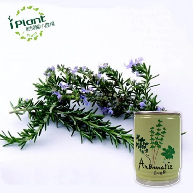 易開罐植栽 DIY蔬果盆栽 罐頭植栽 花卉 / 蔬果 / 香料 療癒植栽 【久大文具】 歷史價格詳細信息