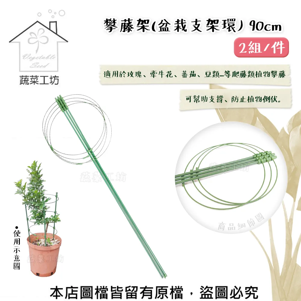 【蔬菜工坊】園藝爬藤網6尺X6吋 菱格網目.攀藤網.栽培網.園藝網.植栽網.絲瓜網.菜瓜網(越南製) 歷史價格詳細信息