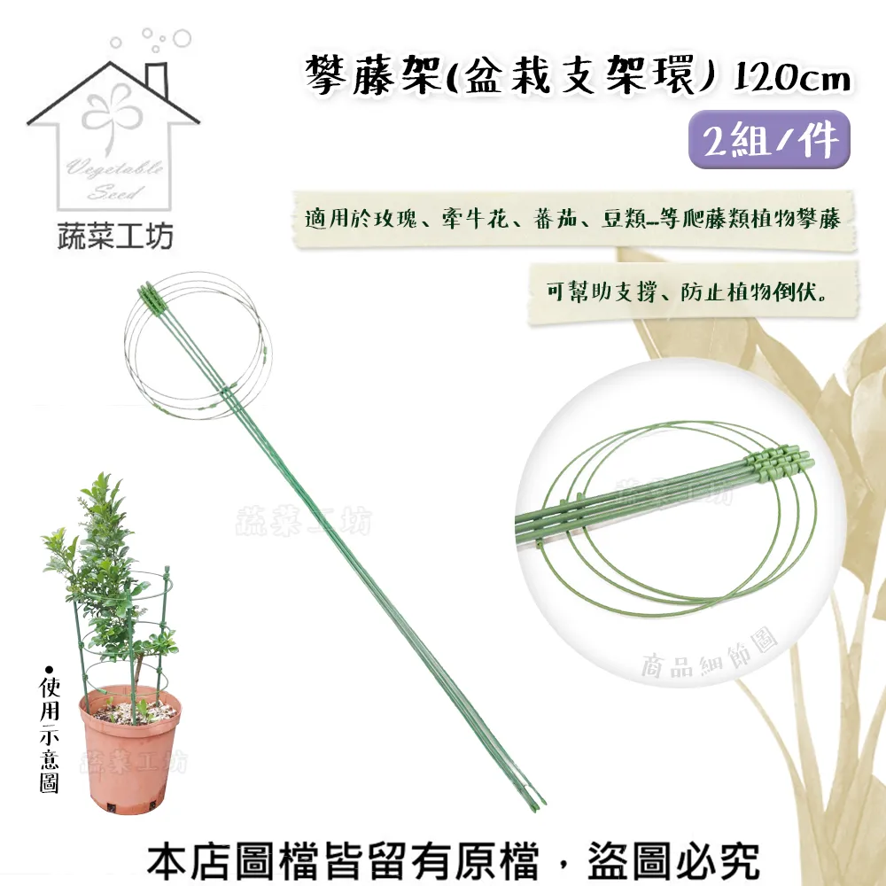 【蔬菜工坊】園藝爬藤網6尺X6吋 菱格網目.攀藤網.栽培網.園藝網.植栽網.絲瓜網.菜瓜網(越南製) 歷史價格詳細信息