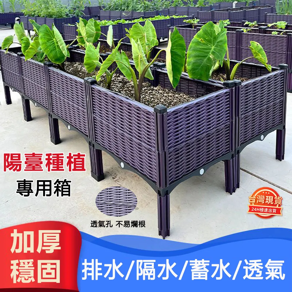 種植核桃視頻教程U盤核桃育苗嫁接技術全套核桃病蟲害防治教學U盤 歷史價格詳細信息