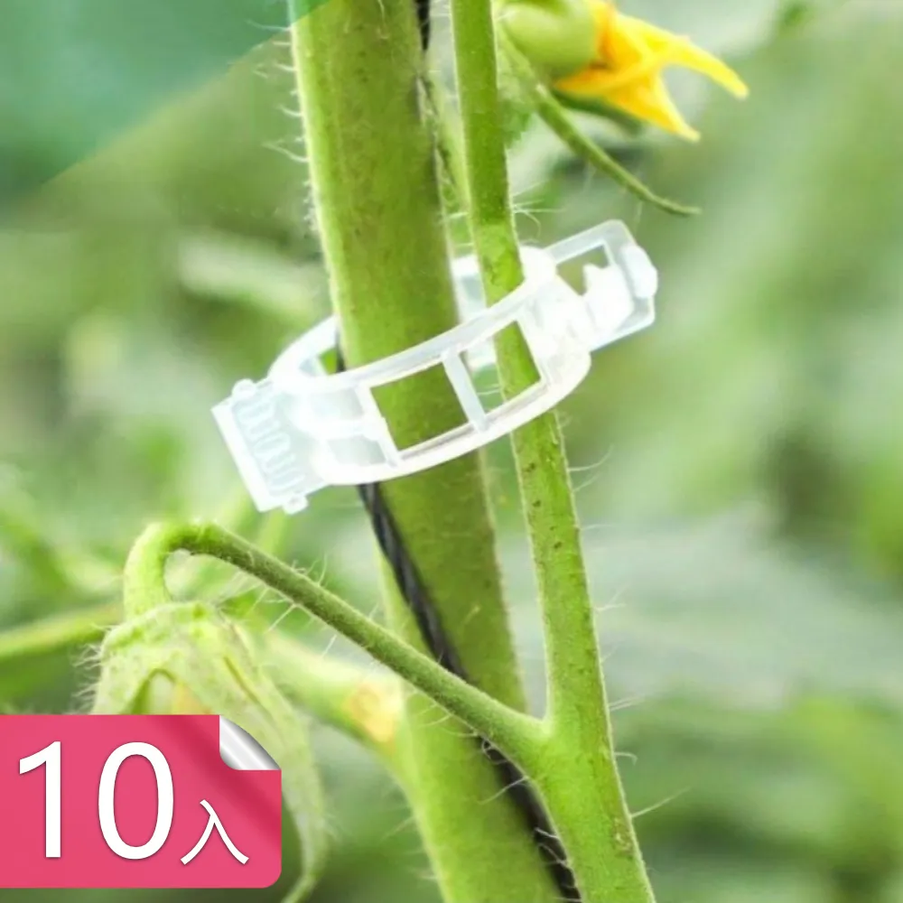 【荷生活】園藝加壓式噴霧澆花澆水壺 可調節噴嘴手動式噴水壺-1入 歷史價格詳細信息