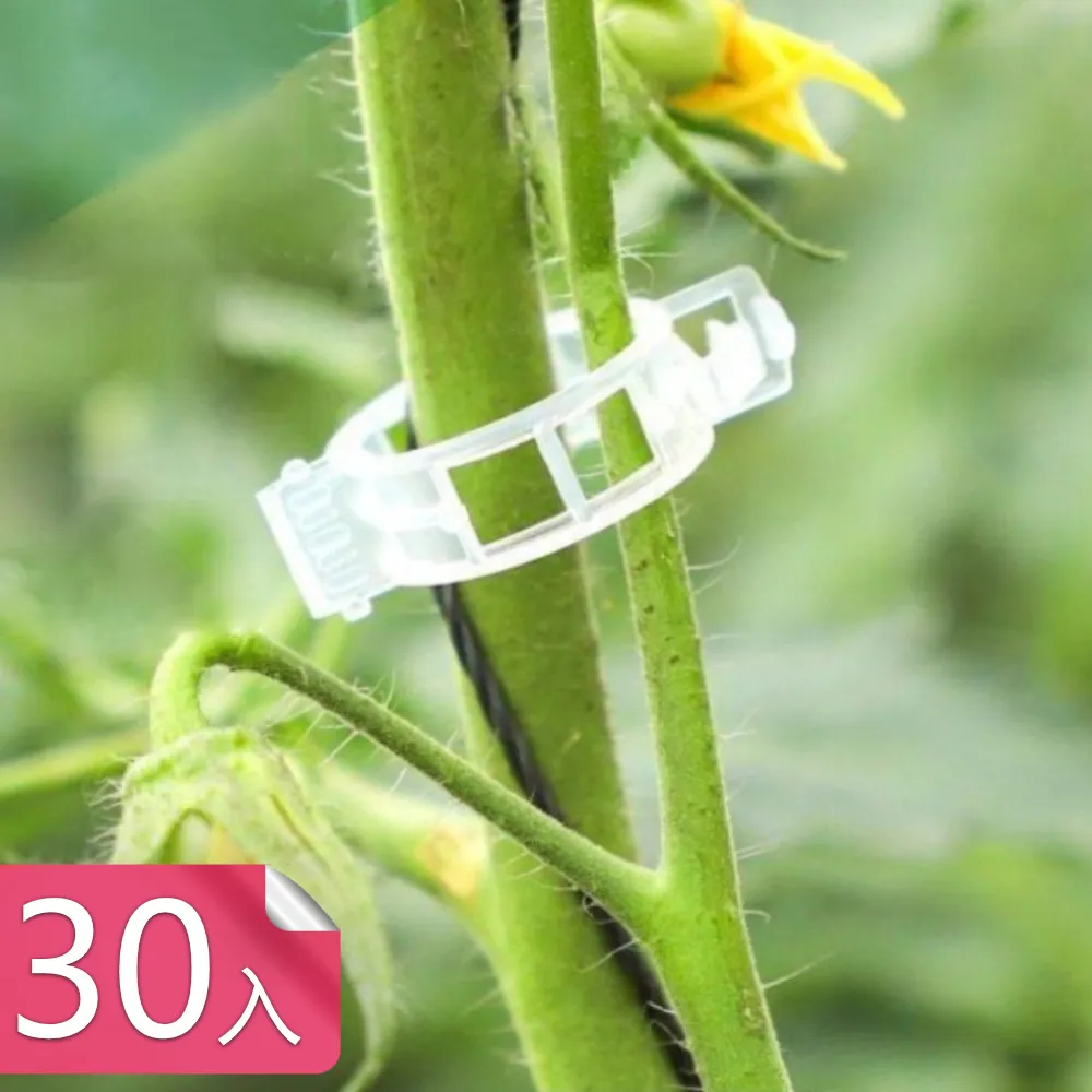 【荷生活】園藝加壓式噴霧澆花澆水壺 可調節噴嘴手動式噴水壺-1入 歷史價格詳細信息