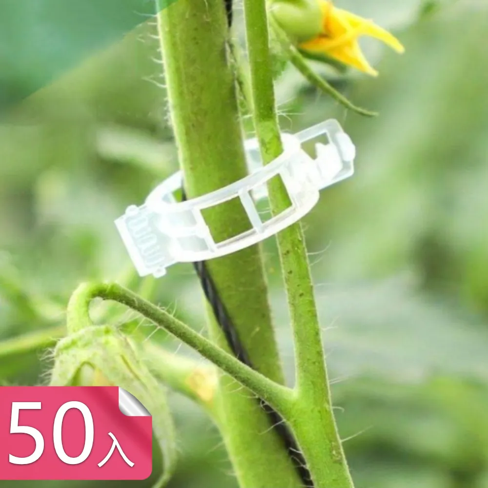 【荷生活】園藝加壓式噴霧澆花澆水壺 可調節噴嘴手動式噴水壺-1入 歷史價格詳細信息