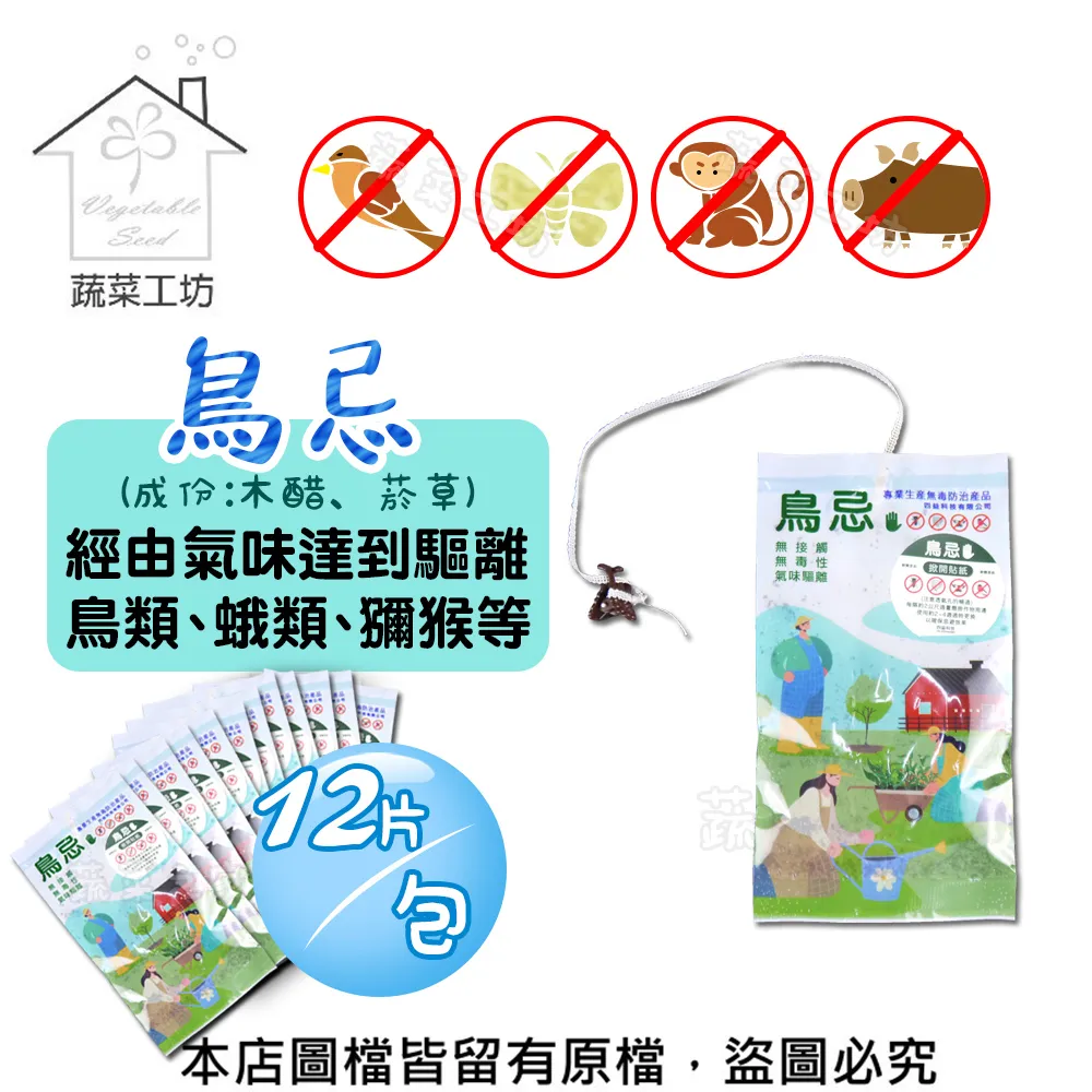 由人氣插畫師巧妙構圖的女高中生萌姿勢集/クロ、姐川、魔太郎、睦月堂 歷史價格詳細信息