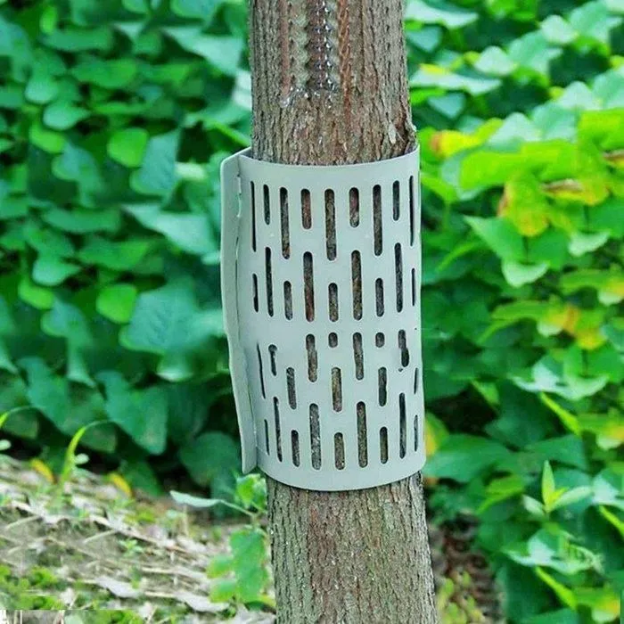 護樹騎士團傳奇 1~4 水月郁見 城邦 下標就賣 4本 PO8 歷史價格詳細信息