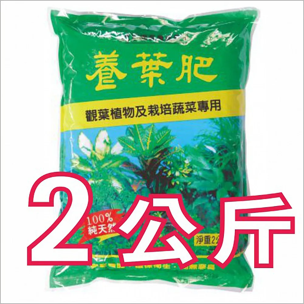 觀葉植物設計：用綠植軟裝打造時髦的室內叢林【金石堂】 歷史價格詳細信息