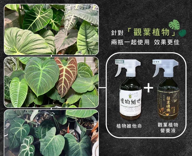 Agribest 品創園 植物園藝十面埋伏全面防護-防蟲防病專用植物保鏢+植物衛兵1組 歷史價格詳細信息