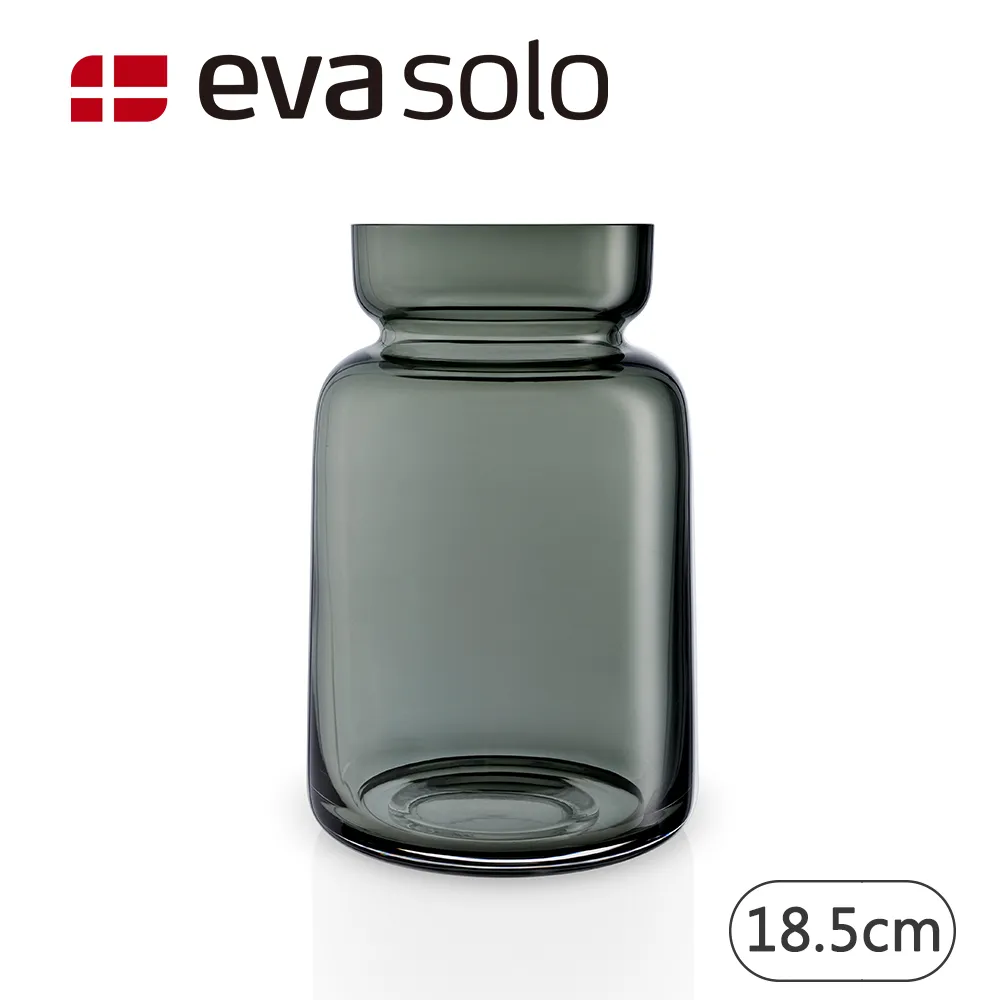 【Eva Solo】丹麥玻璃花瓶-21cm 歷史價格詳細信息