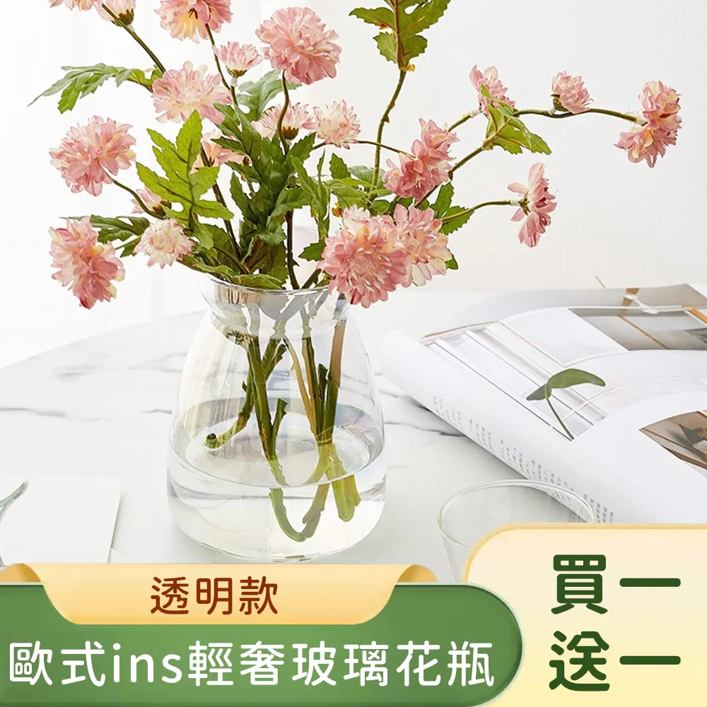 【好拾選物】輕奢簡約大肚玻璃花瓶-透明 大+小 兩件組 歷史價格詳細信息