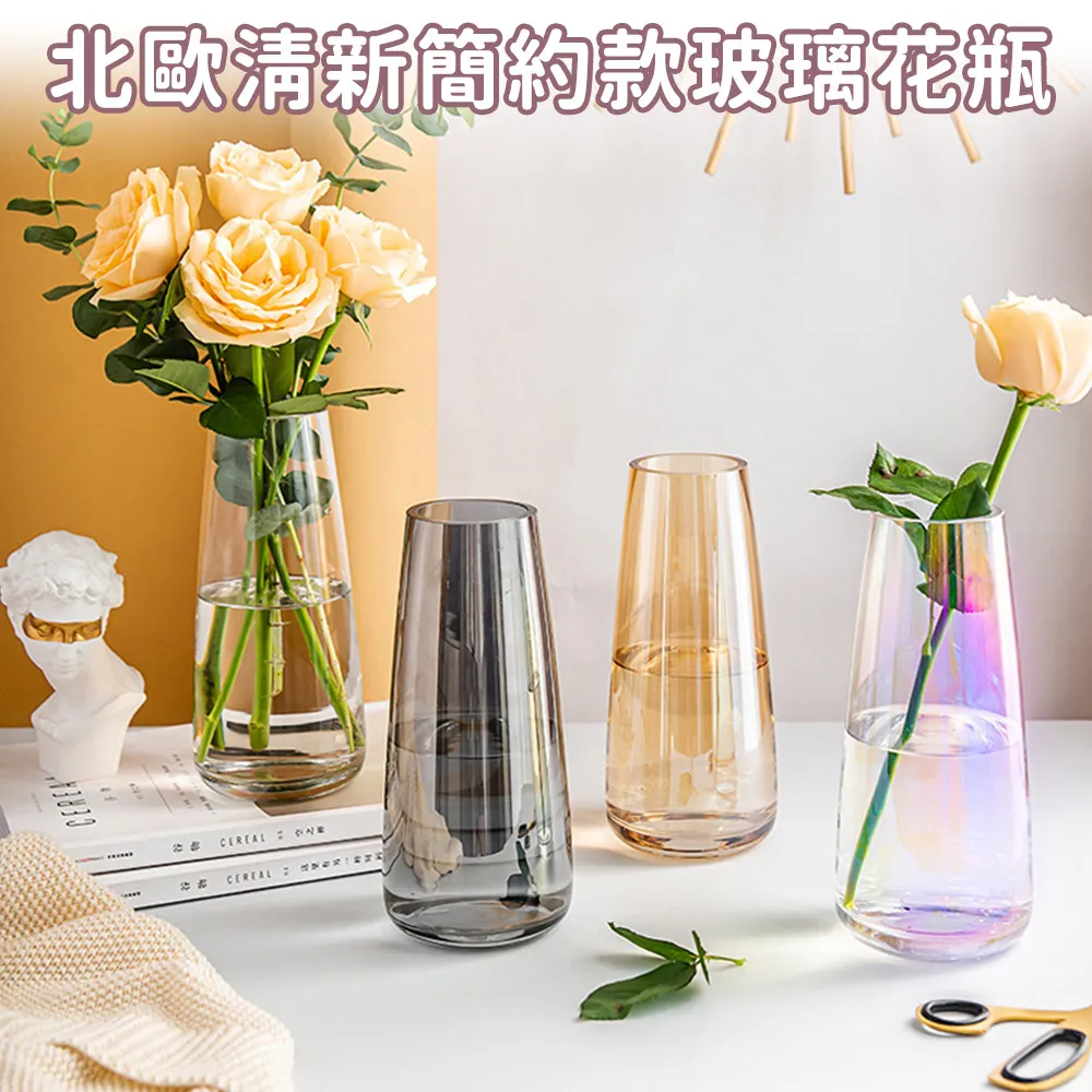 【好拾選物】北歐高雅輕奢玻璃花瓶-小 歷史價格詳細信息