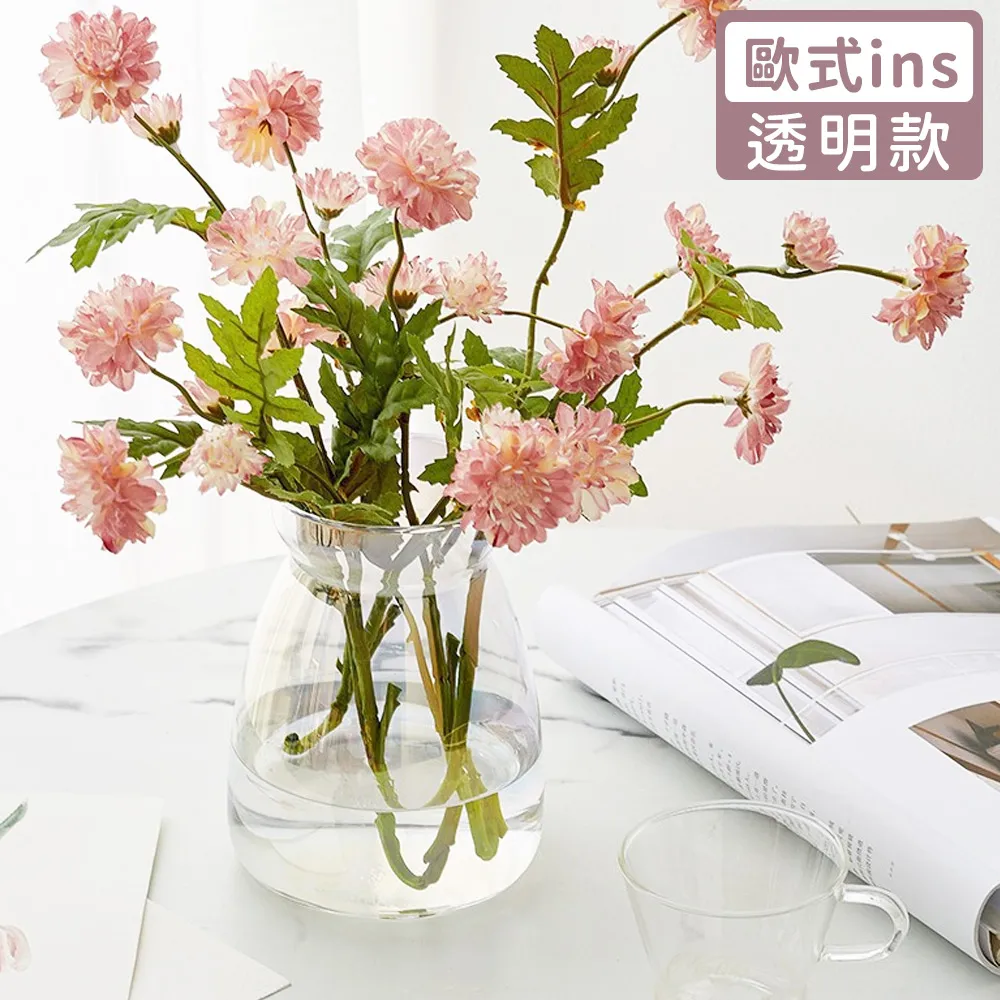 【好拾選物】輕奢簡約大肚玻璃花瓶-透明 大+小 兩件組 歷史價格詳細信息