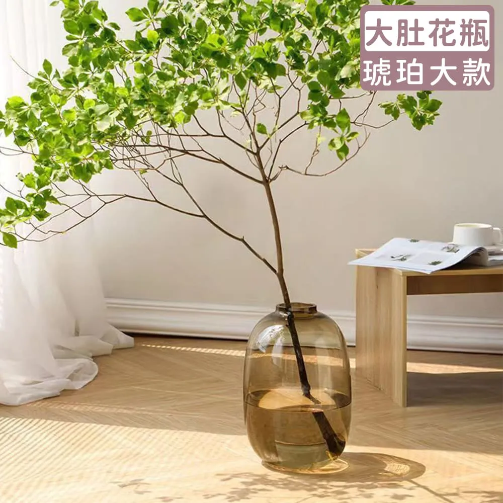 【好拾選物】輕奢簡約大肚玻璃花瓶-透明 大+小 兩件組 歷史價格詳細信息