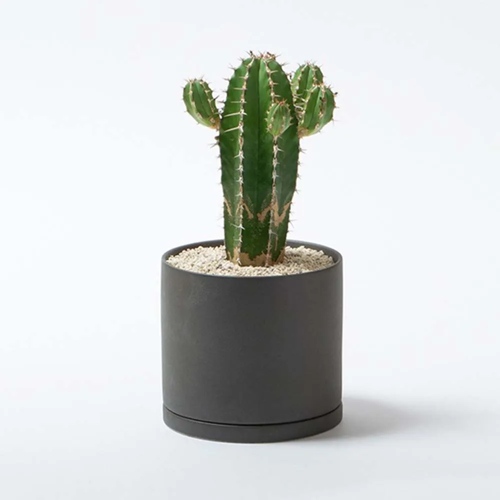 【WUZ屋子】日本KINTO PLANT POT 191陶瓷花盆10.5cm-深灰 歷史價格詳細信息