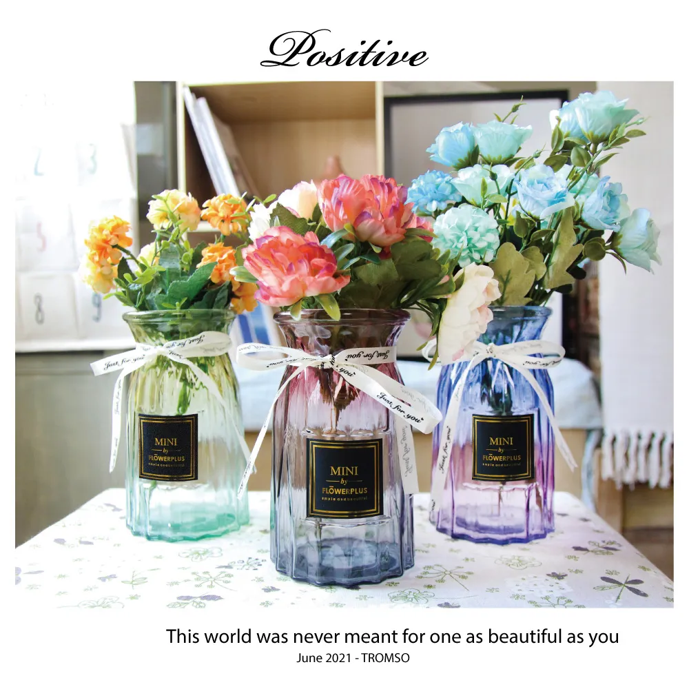 TROMSO巴黎香榭卡麗娜花器-E01 歷史價格詳細信息