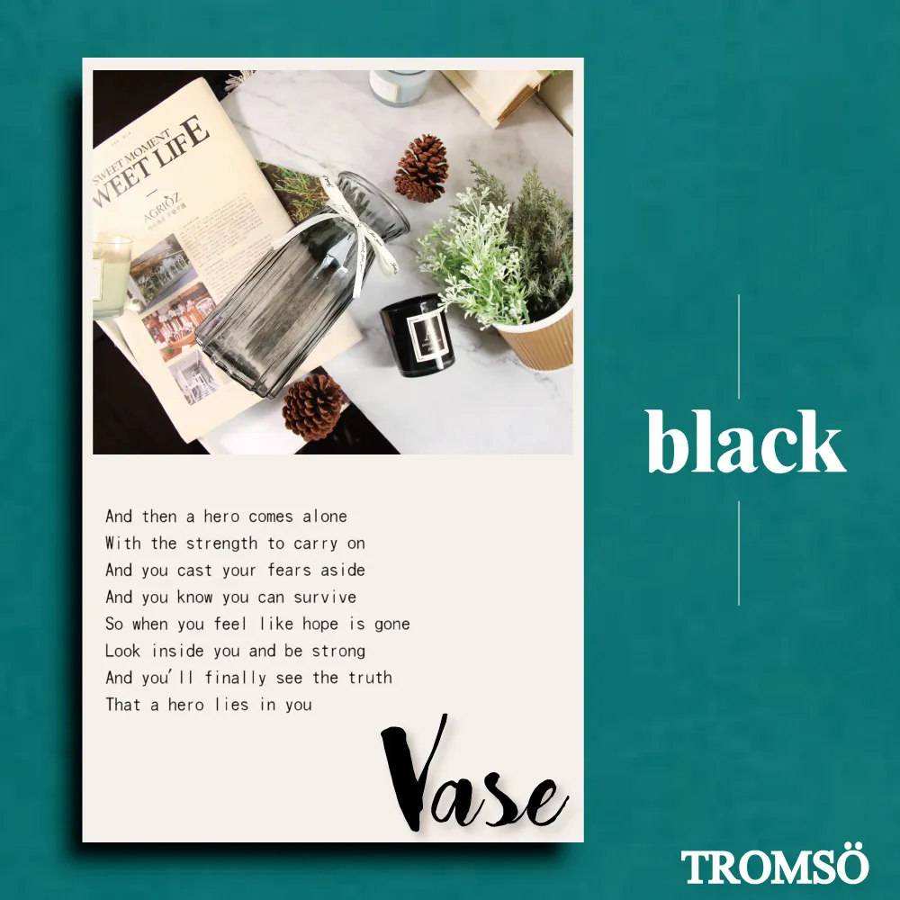 TROMSO巴黎香榭卡麗娜花器-E01 歷史價格詳細信息