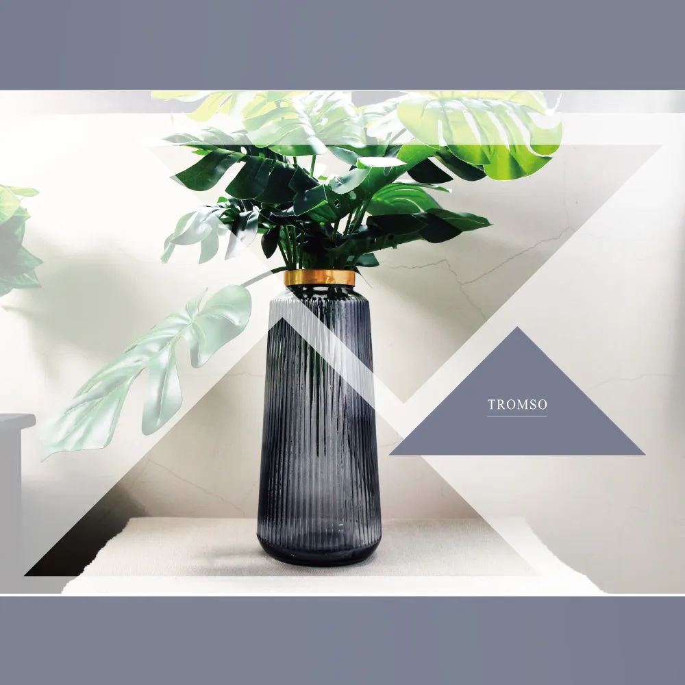 TROMSO巴黎香榭卡麗娜花器-E01 歷史價格詳細信息