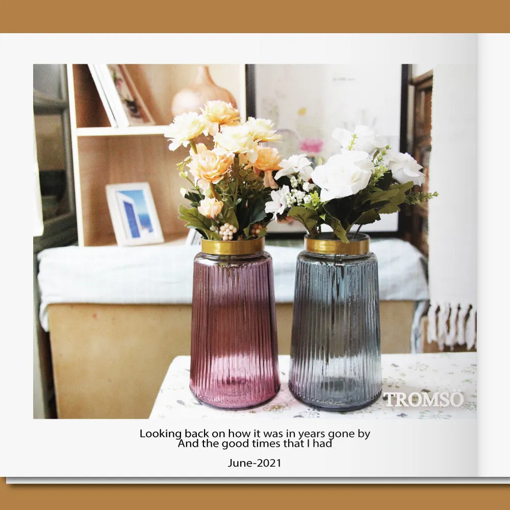 TROMSO巴黎香榭卡麗娜花器-E01 歷史價格詳細信息