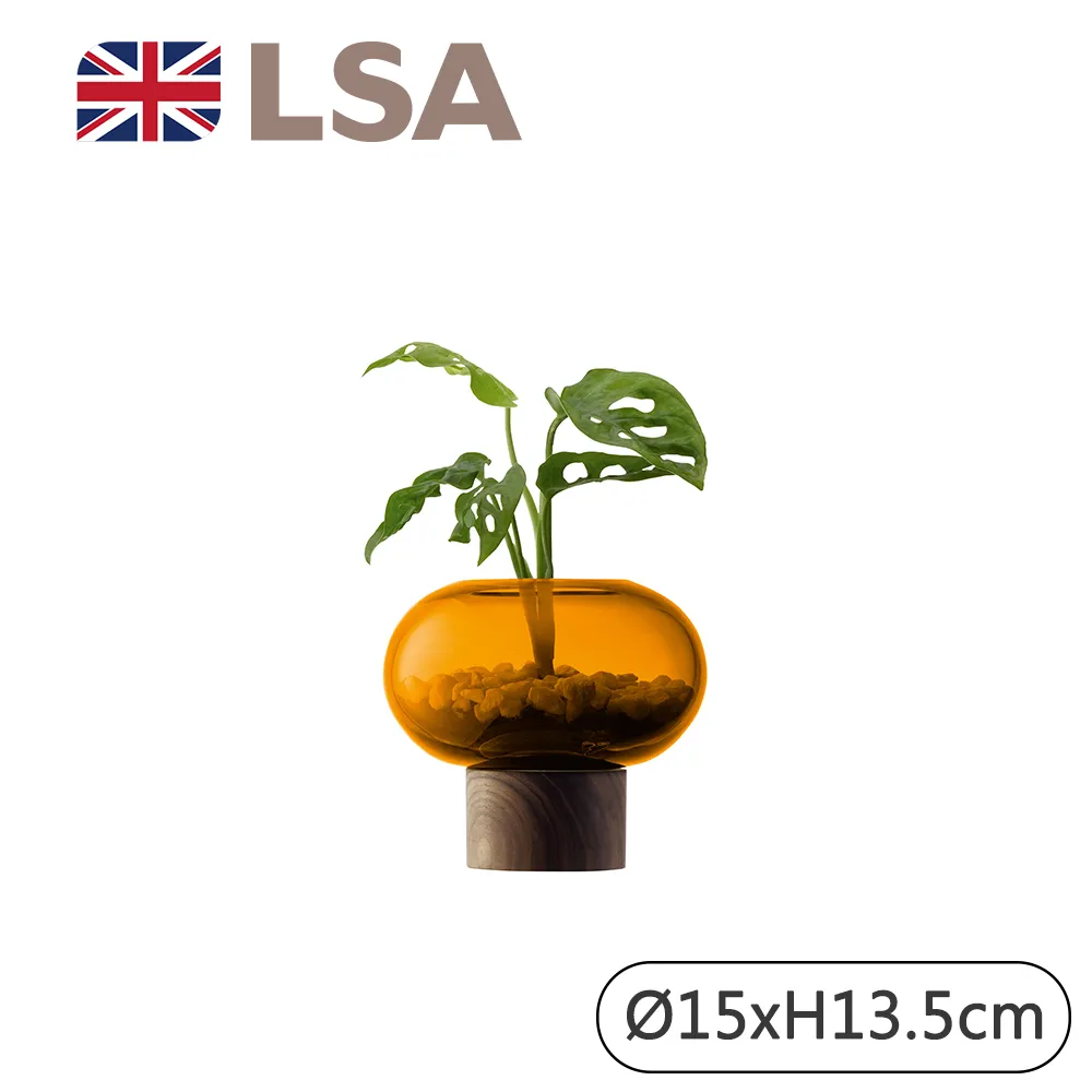 琥珀雕橢圓型項鍊(F41) 歷史價格詳細信息