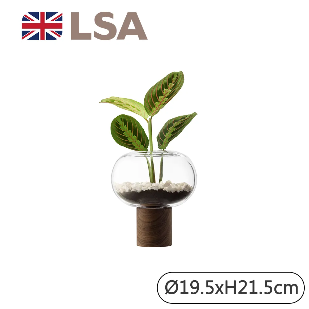 【LSA】OBLATE橢圓花瓶附底座H21.5cm-琥珀色 歷史價格詳細信息