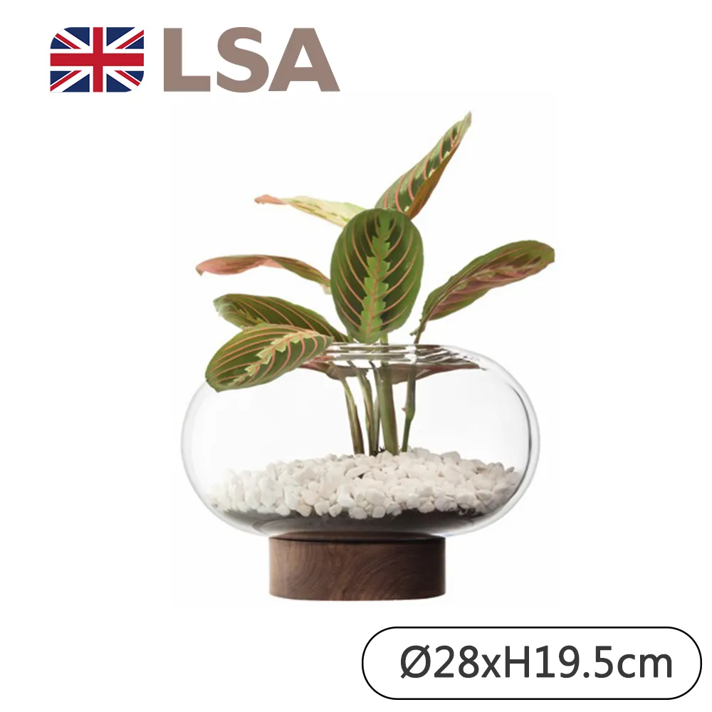 【LSA】OBLATE橢圓花瓶附底座H21.5cm-琥珀色 歷史價格詳細信息