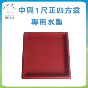 【蔬菜工坊】1尺長槽專用椰纖片 5片/包 歷史價格詳細信息