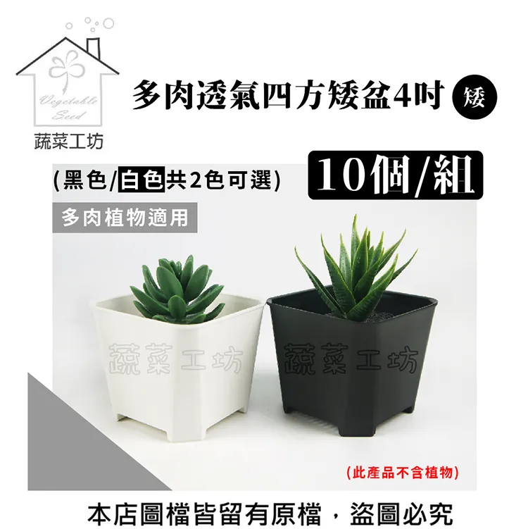 多肉透氣四方矮盆6吋(矮) (黑色.白色) 10個/組 歷史價格詳細信息