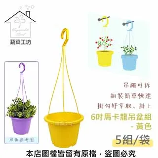 6吋吊盆/六寸/含掛勾/雙色可選/園藝高級塑膠盆 - 千葉園藝有限公司 歷史價格詳細信息