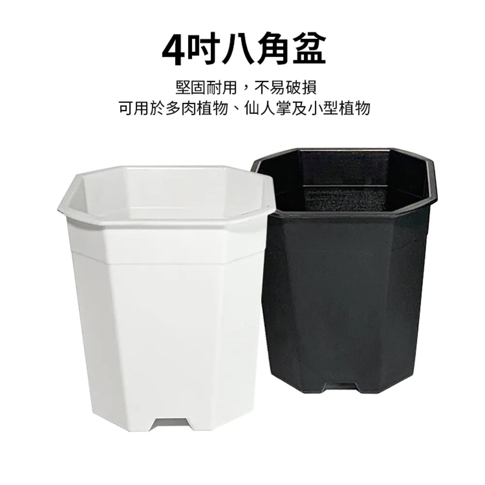 4吋花朵企鵝玩偶 絨毛娃娃 吊飾 歷史價格詳細信息