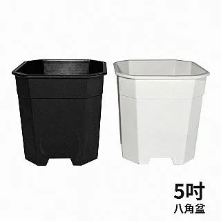 塑膠花盆  TRENY 花盆  多款花盆 4吋 5吋 6吋 園藝花盆 觀葉植物 歷史價格詳細信息