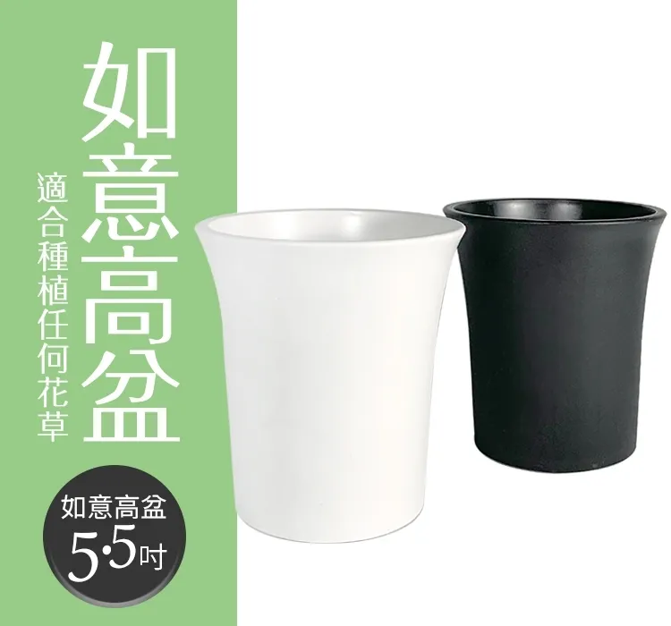5.5吋如意盆  【大潤發】 歷史價格詳細信息