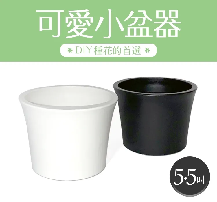 5.5吋如意盆  【大潤發】 歷史價格詳細信息