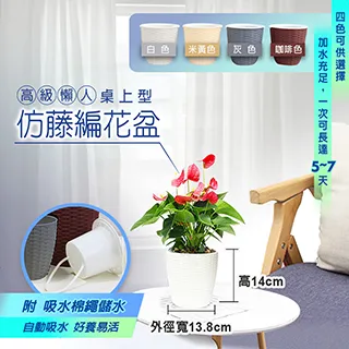 【fioJa 費歐家】花盆園藝 仿金屬 S系列雙層設計集水花盆 歷史價格詳細信息