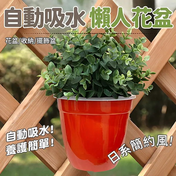 自動吸水花盆 吸水花盆 懶人花盆 北歐風 花盆 鐵架花架 蝴蝶蘭 綠植 塑料 多肉花盆 歷史價格詳細信息