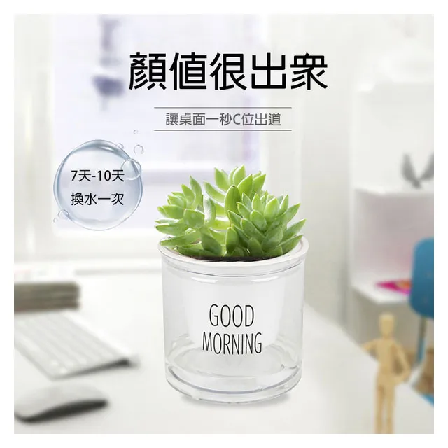 PS Mall 自動加液洗鍋刷 廚房刷 鋼絲球刷 2入 歷史價格詳細信息