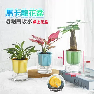 自動吸水花盆 吸水花盆 懶人花盆 北歐風 花盆 鐵架花架 蝴蝶蘭 綠植 塑料 多肉花盆 歷史價格詳細信息