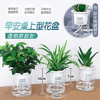 自動吸水花盆 吸水花盆 懶人花盆 北歐風 花盆 鐵架花架 蝴蝶蘭 綠植 塑料 多肉花盆 歷史價格詳細信息