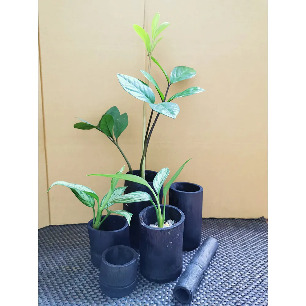 4cm多功能有彈力腰帶男女橡皮筋松緊帶輕便懶人皮帶裙子收束腰封-KBY科貝【潮匠五金家居】 歷史價格詳細信息