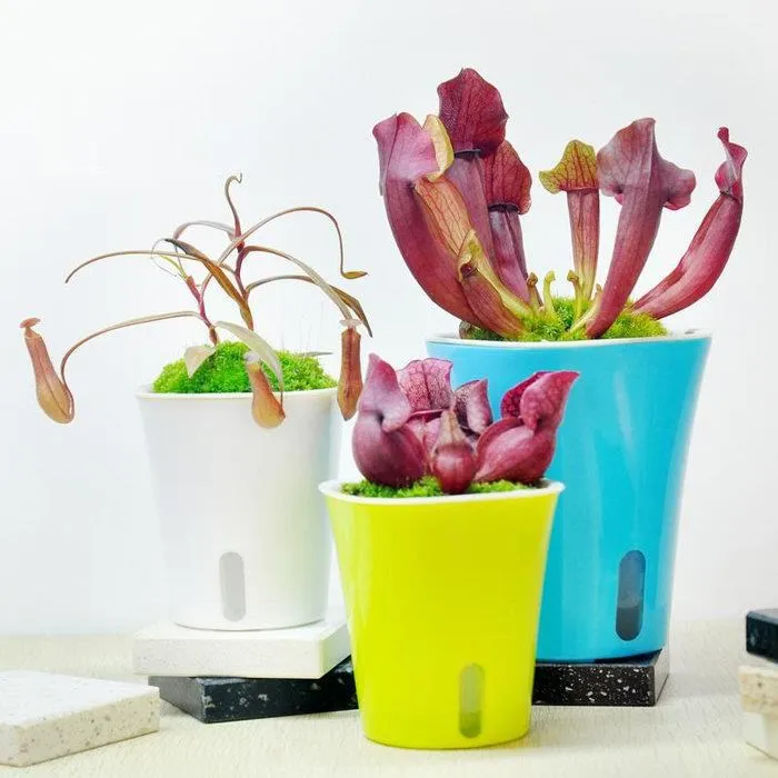 方形可視激光JR31-20N光電開關傳感器定位電眼紅外線常開DC24V調【正品质保】 歷史價格詳細信息