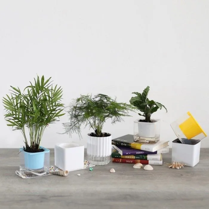 N1238【東京熱】Tokyo Hot | 肏好肏滿G罩杯爆乳美少女【後篇】 紺野友梨 歷史價格詳細信息