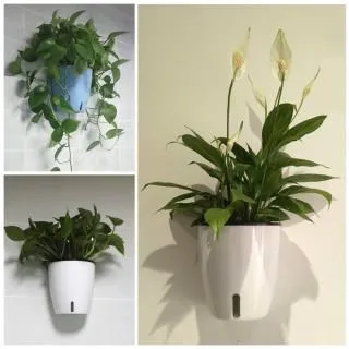 可愛恐龍造型壁飾貼LK-RDA9004 歷史價格詳細信息