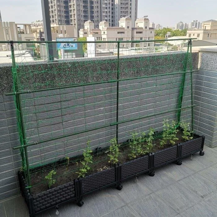 【珍愛頌】N419 爬藤網 180X500 歷史價格詳細信息