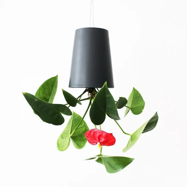 【5入組】紐西蘭ABSOLUTEHOLISTIC 超越巔峰貓用鮮食肉片系列 50g 歷史價格詳細信息