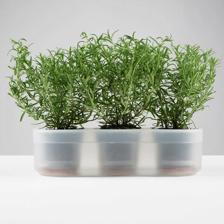 L!懶人電腦椅家用單人沙發椅久坐舒適客廳臥室辦公室休閒遊戲電 歷史價格詳細信息