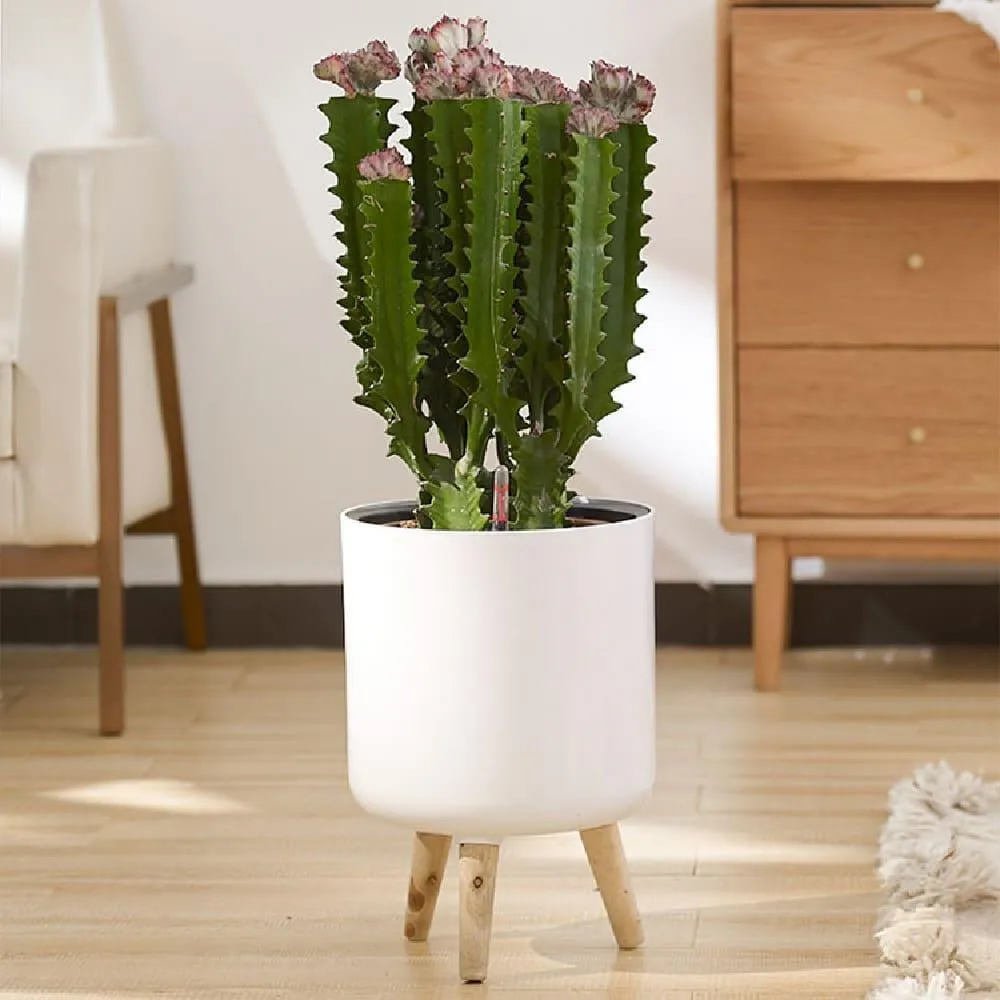 北歐簡約風格耐熱玻璃冷水壺(1400ml 玻璃304不銹鋼冷水壺) 歷史價格詳細信息