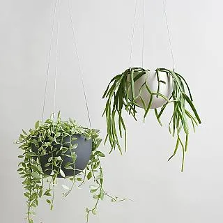 【WUZ屋子】日本KINTO PLANT POT盆栽吊籃17.4cm-米色 歷史價格詳細信息