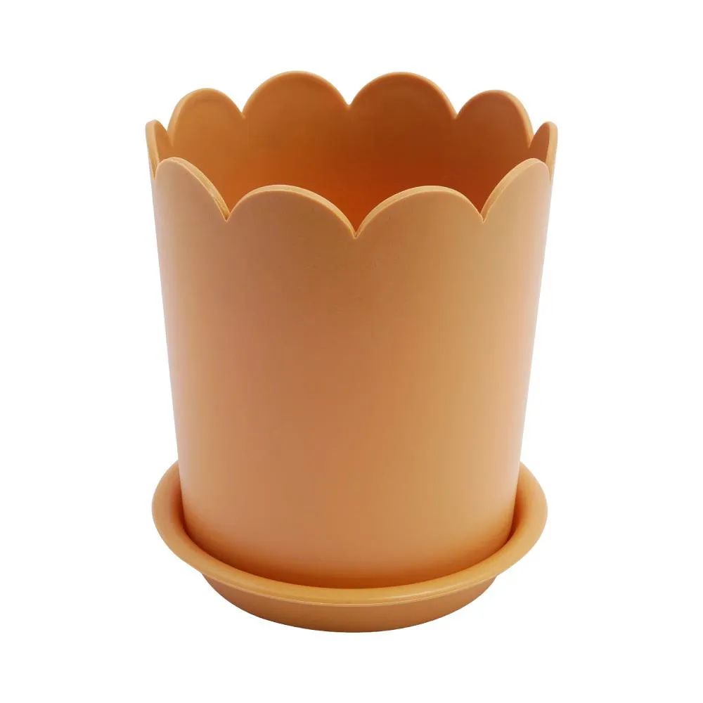 TRENY小商品單層收納箱-G167-2入 歷史價格詳細信息