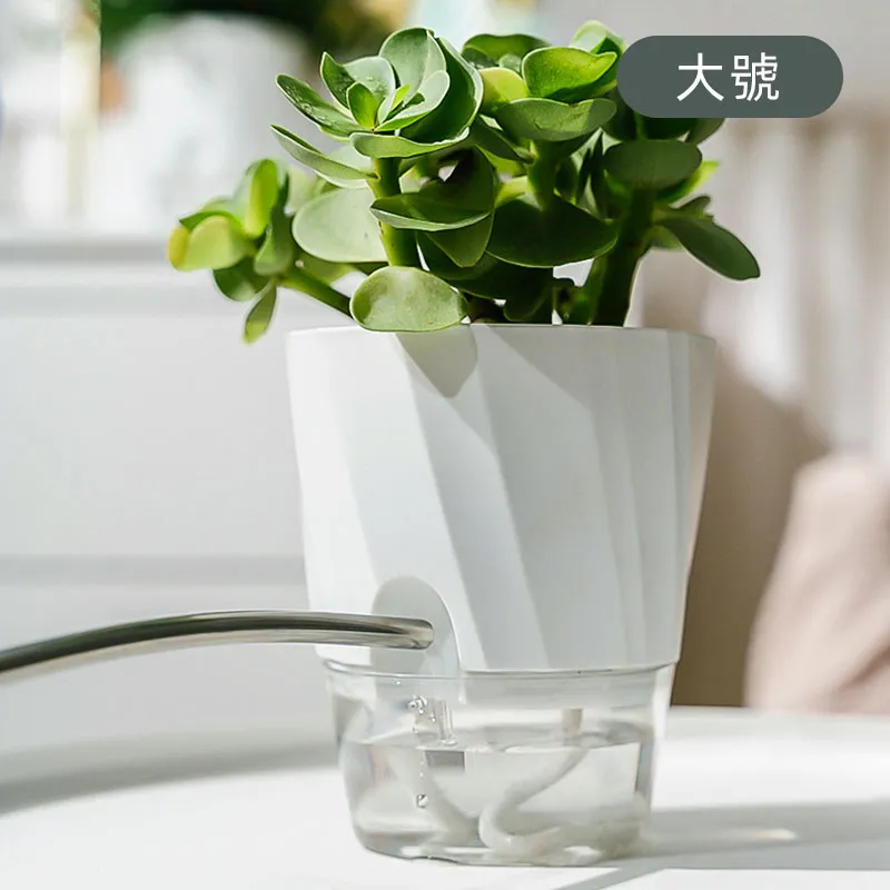 花瓶 大號透明直筒玻璃花瓶 落地加厚馬醉木 插花裝飾擺件 jing品人 歷史價格詳細信息