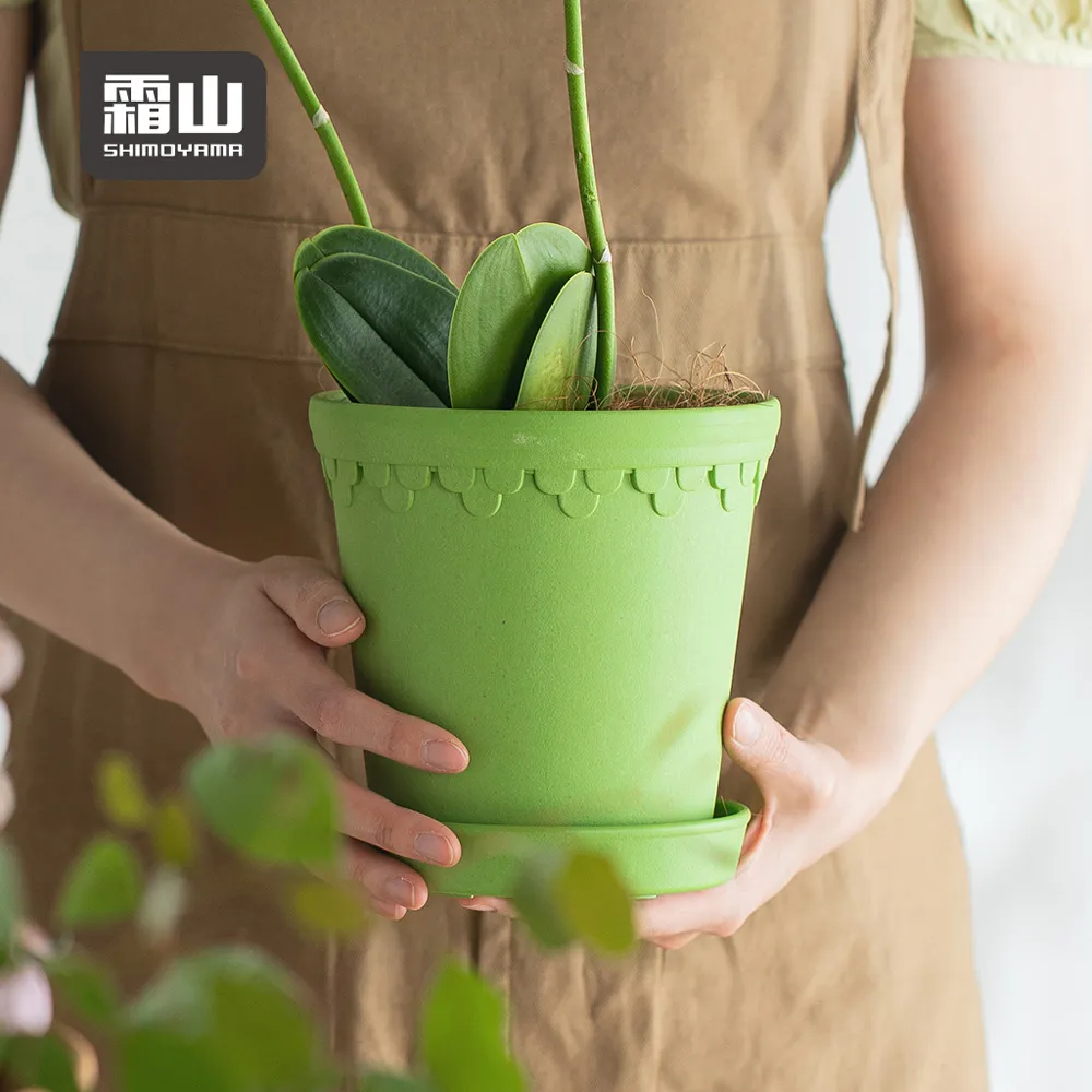 【日本霜山】日式復古風木質長柄鴕鳥毛除塵撢 歷史價格詳細信息